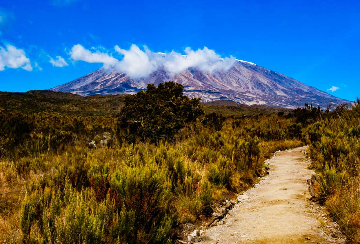 Mt. Kilimanjaro image