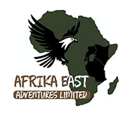 Afrika east Adventures Logo